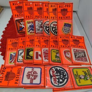 17X 1970-1980s Old Vintage Snowmobile Patch Rupp Yamaha Fences Polish Chaparral